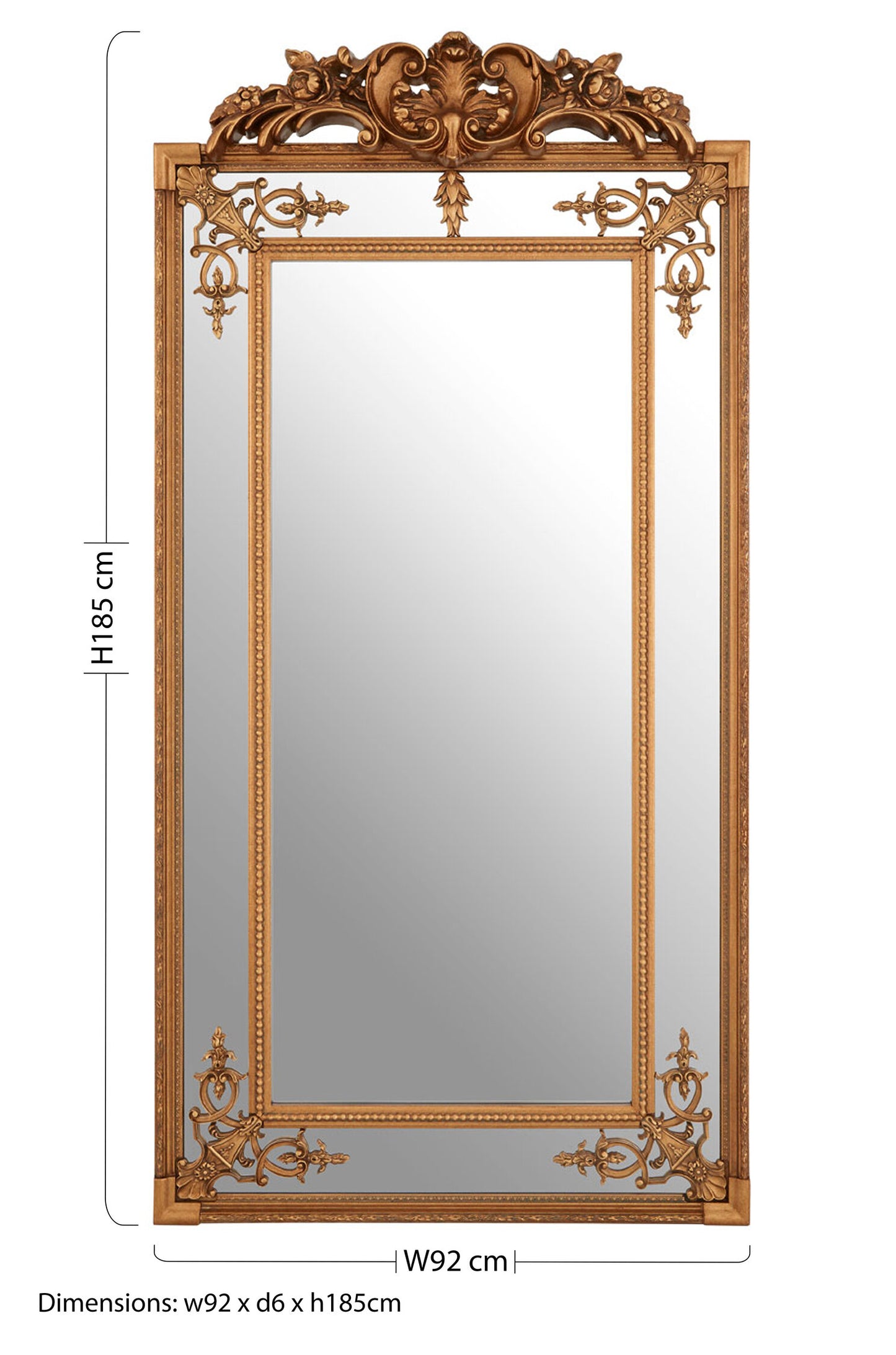 Paris Ornate Floor Mirror with Gold Finish