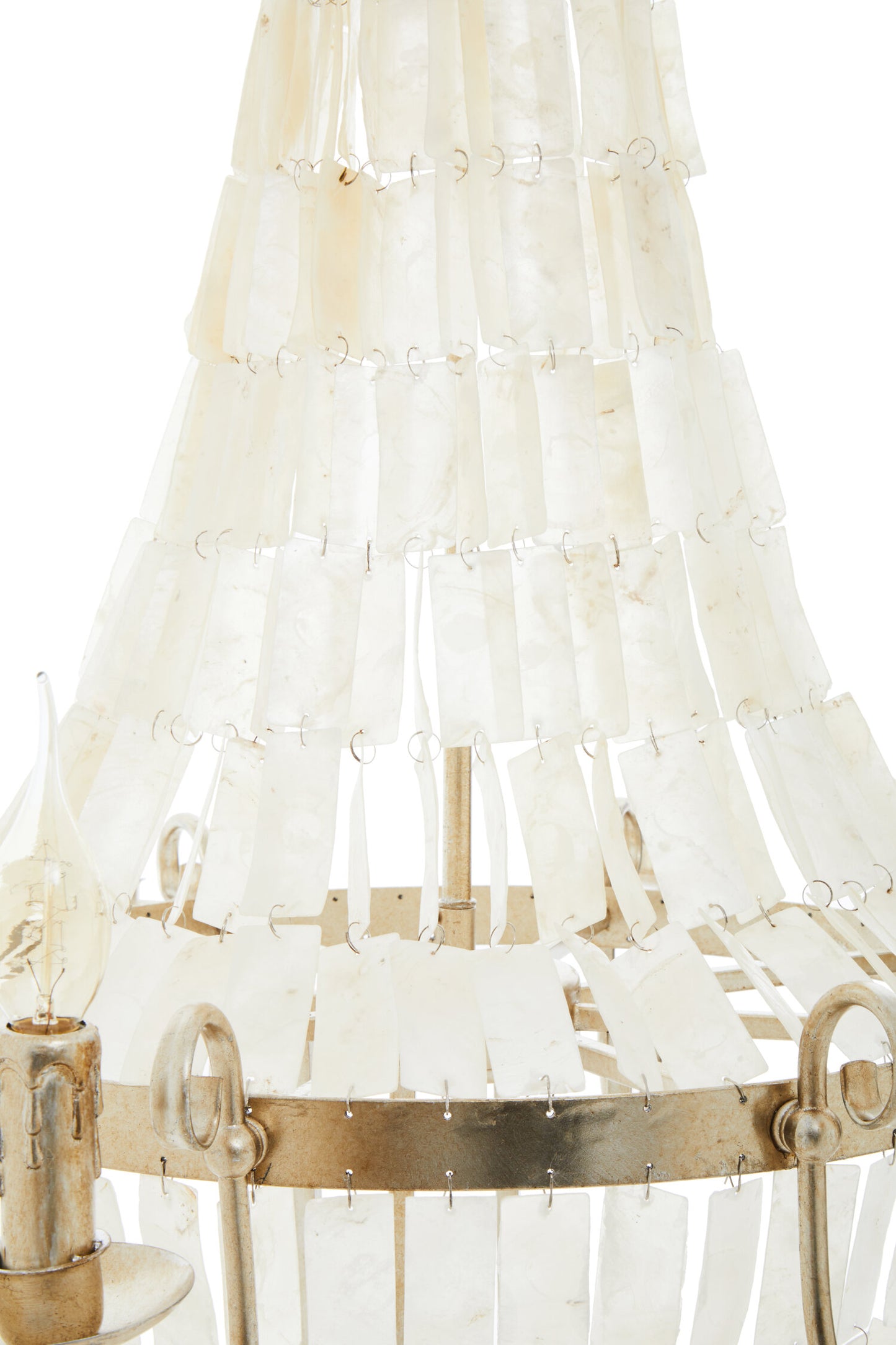 Raphaela Seashell Chandelier