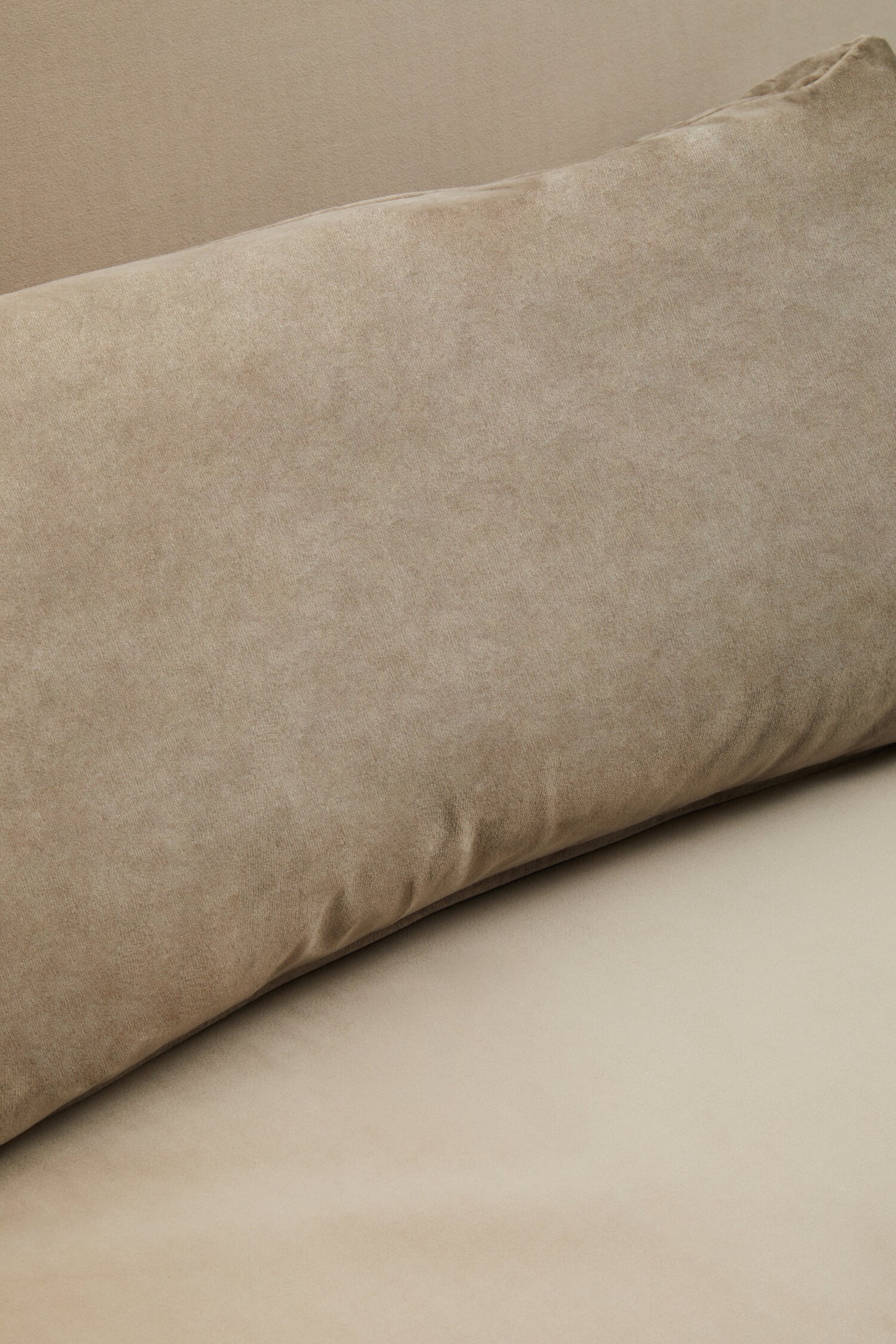 Jasmine Mink Velvet Sofa Bed