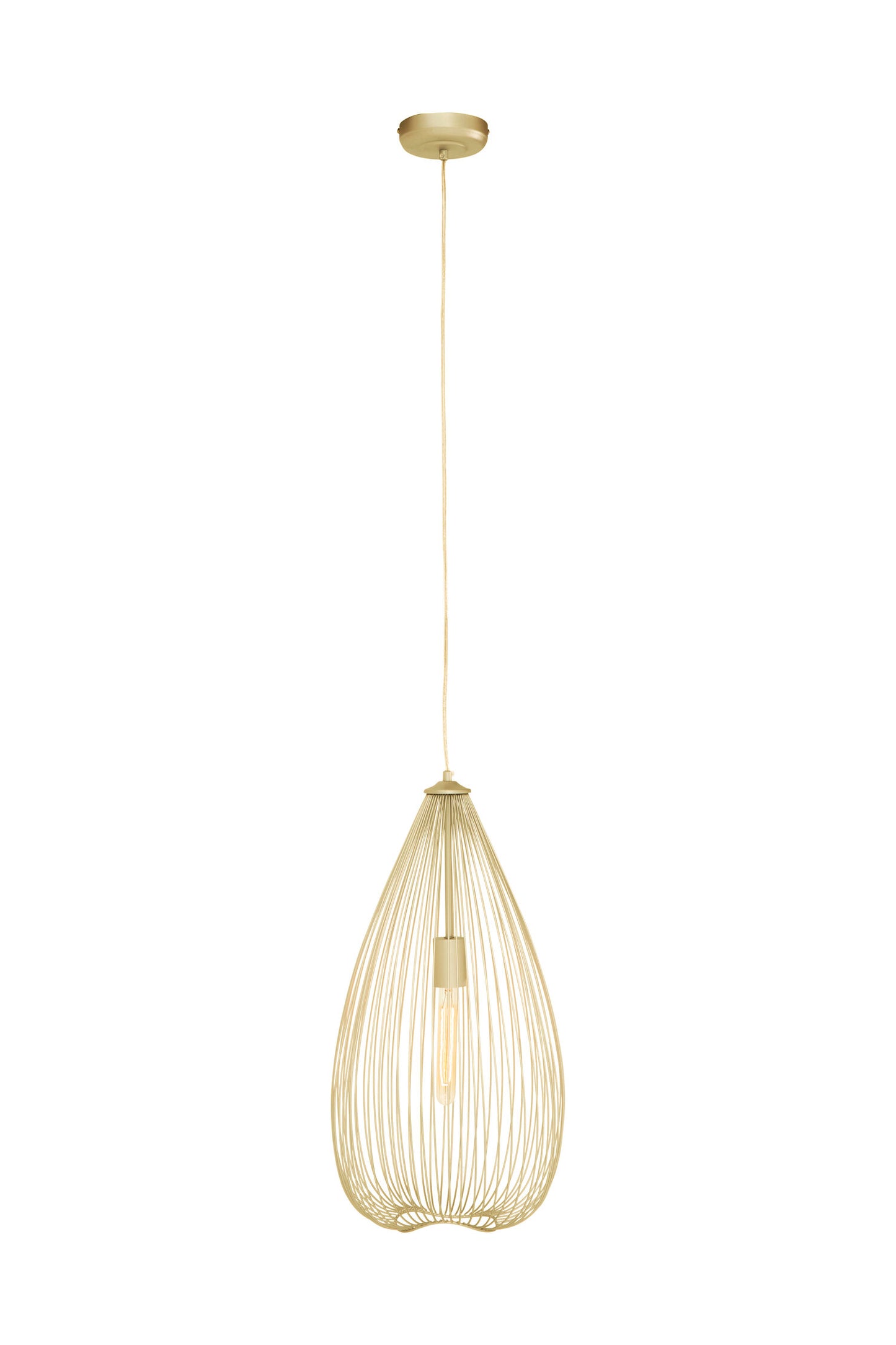 Industrial Gold Iron Pendant Light | Bali & Blue