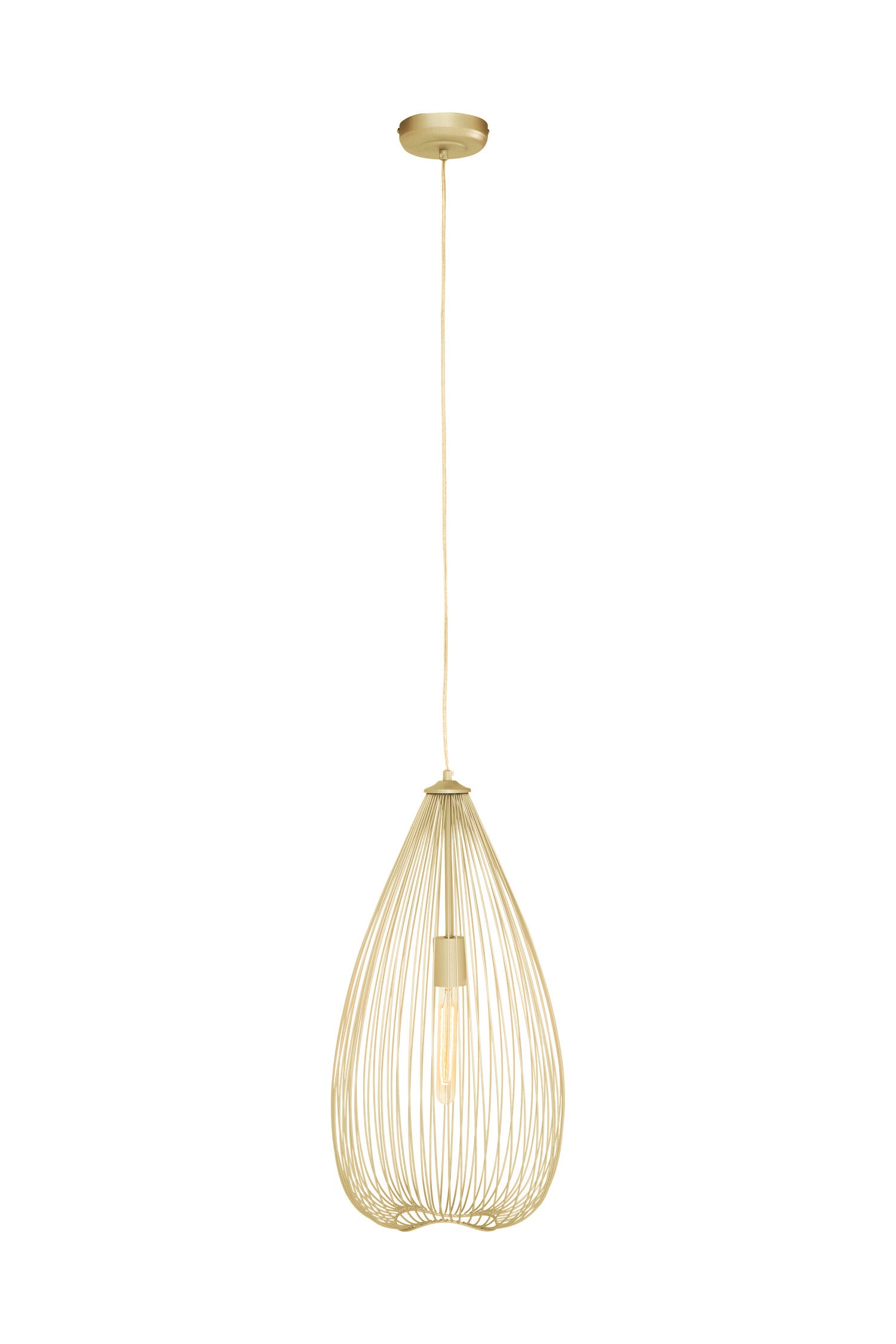 Industrial Gold Iron Pendant Light | Bali & Blue