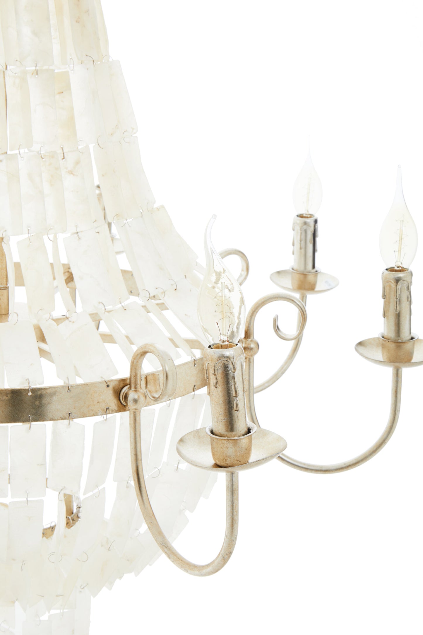 Raphaela Seashell Chandelier