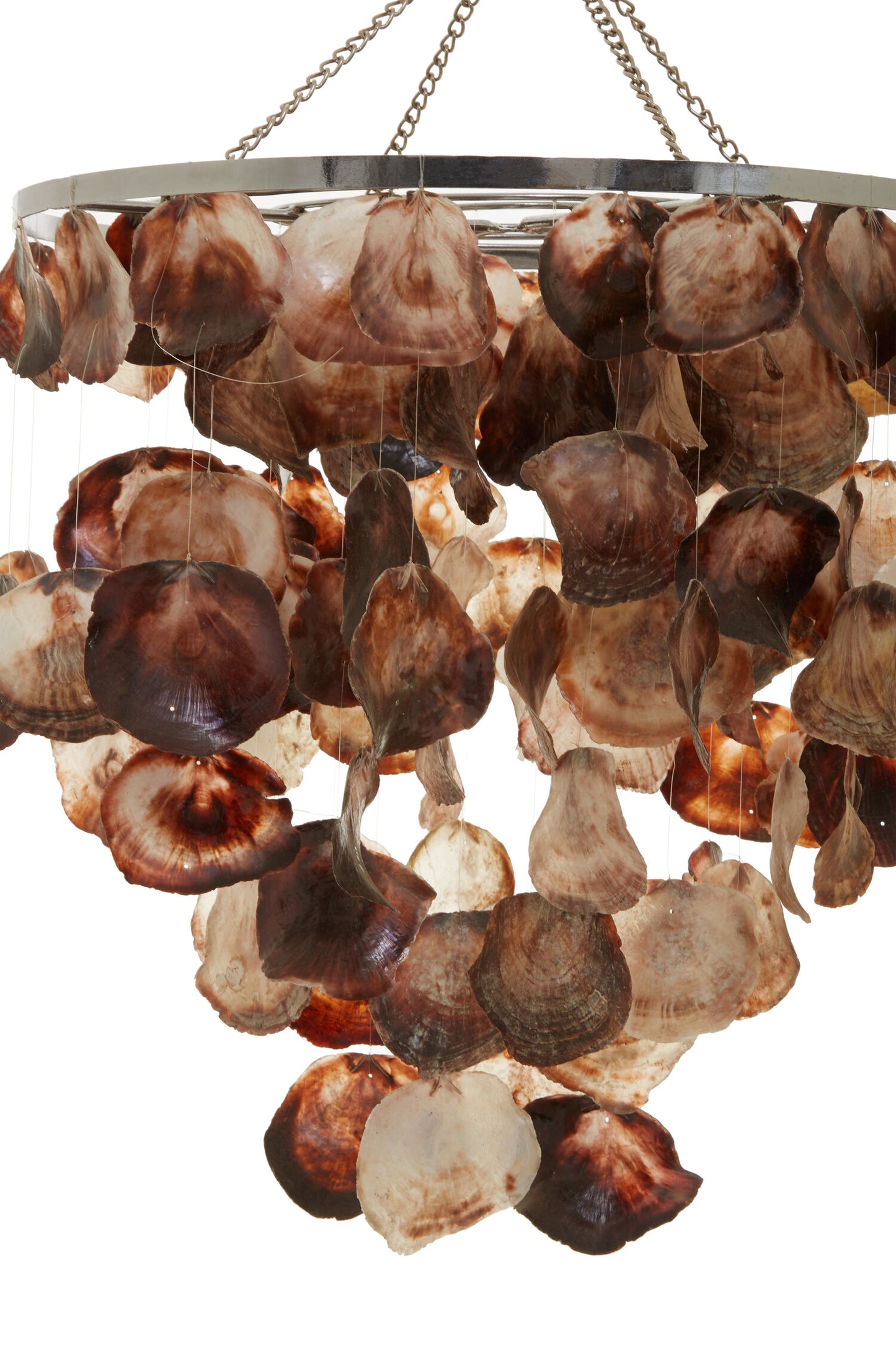 Shore Natural Shell Abstract Pendant Shade