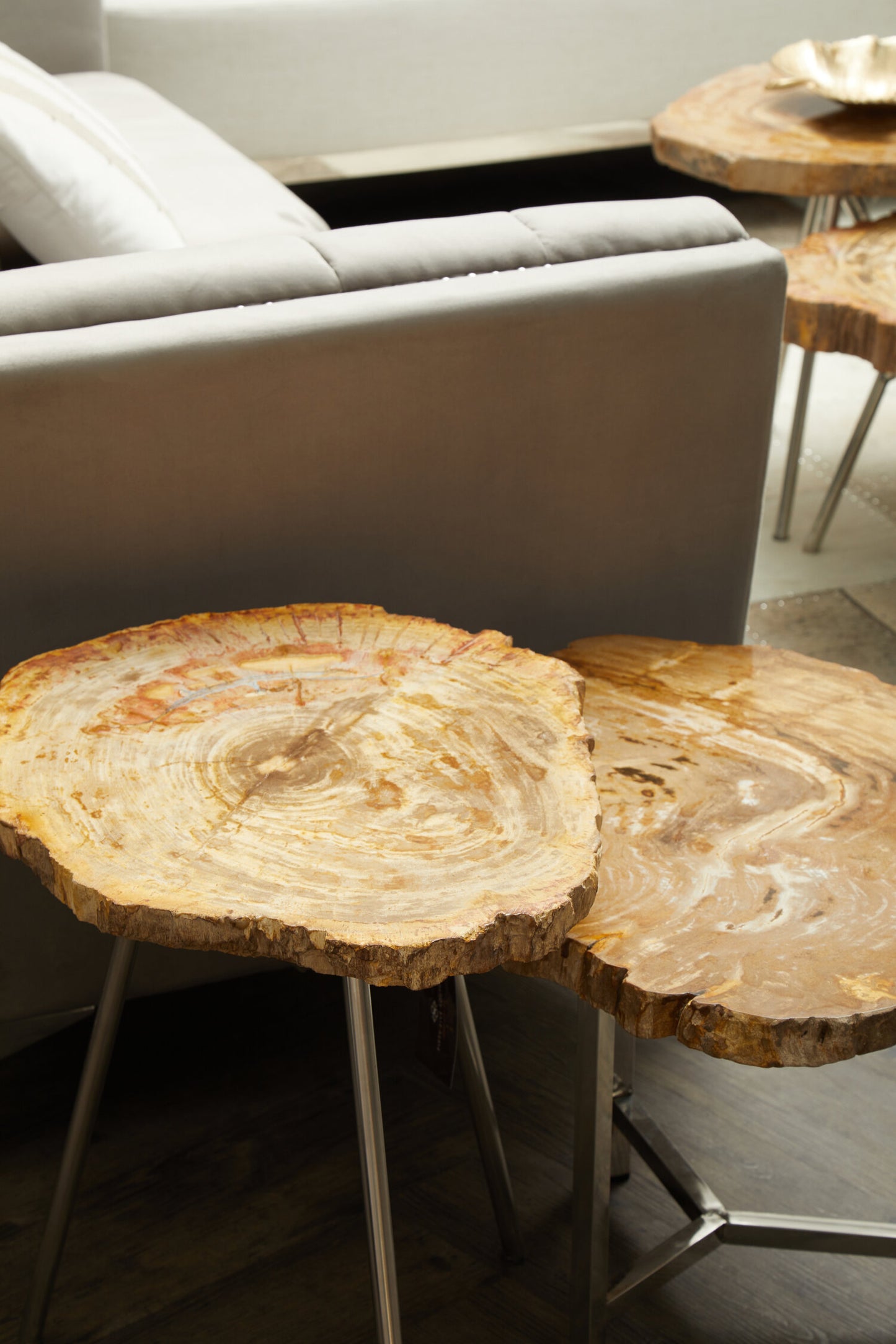 Paulo Small Petrified Wood Side Table