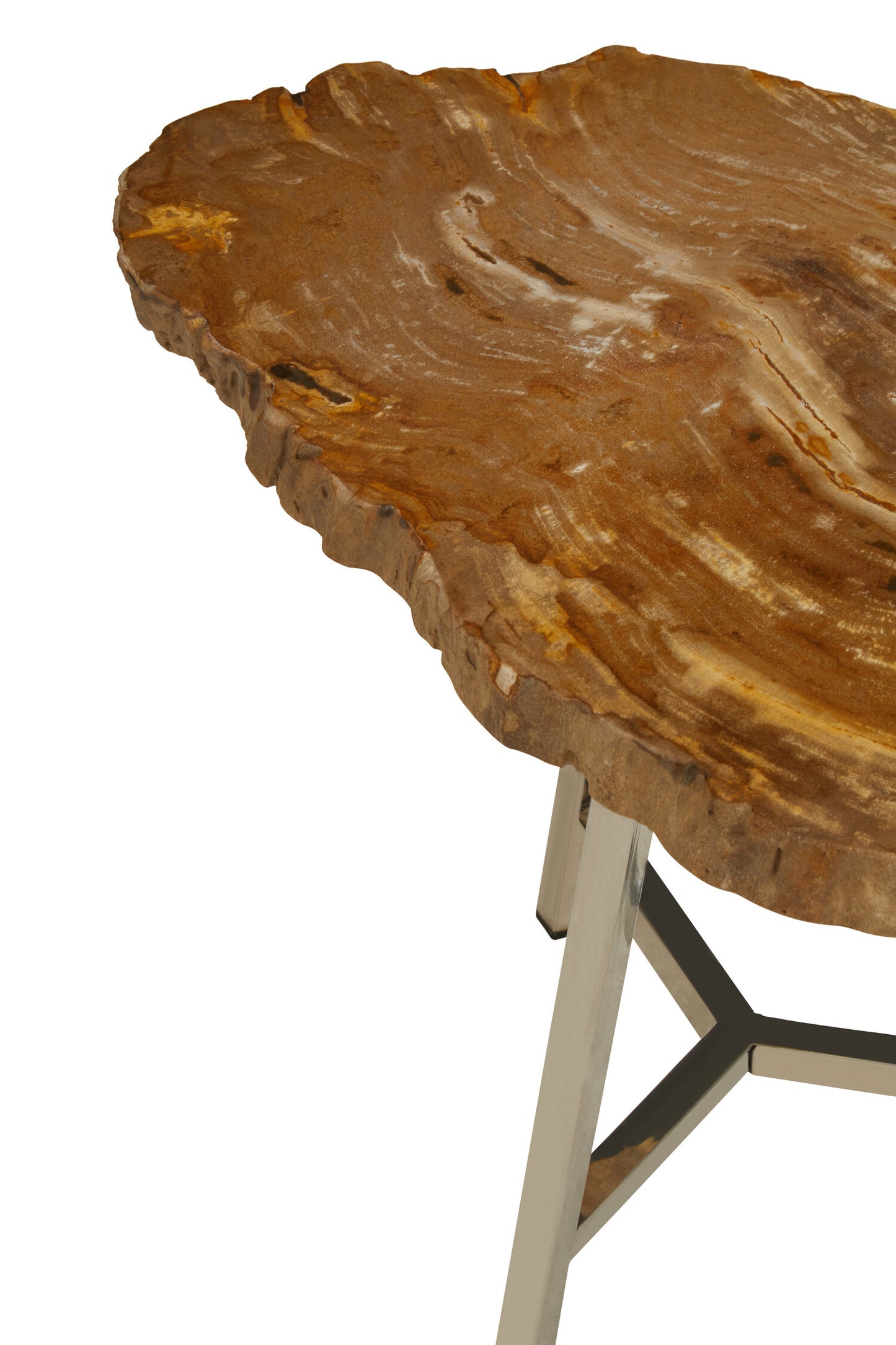Paulo Small Petrified Wood Side Table