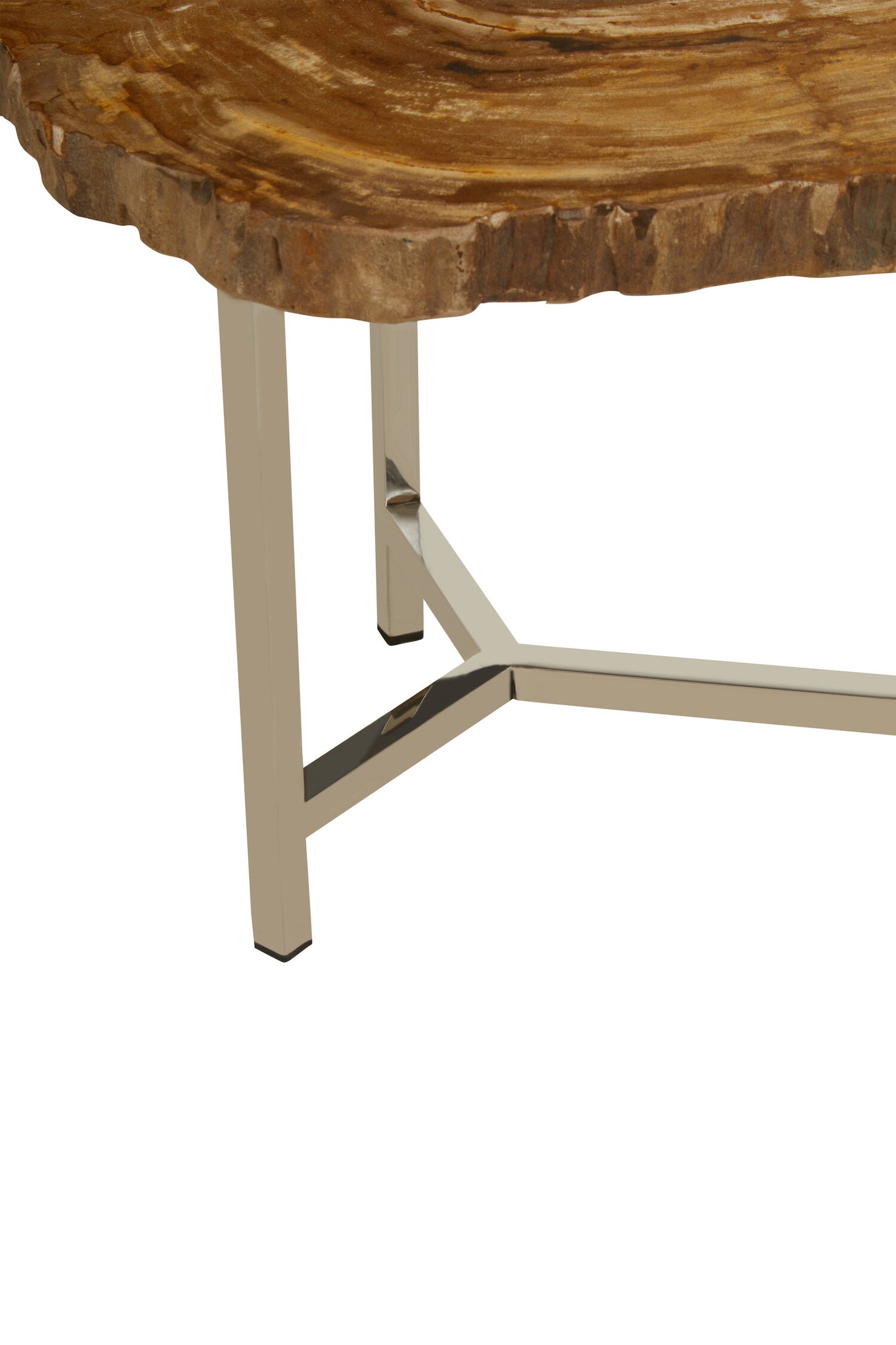 Paulo Small Petrified Wood Side Table