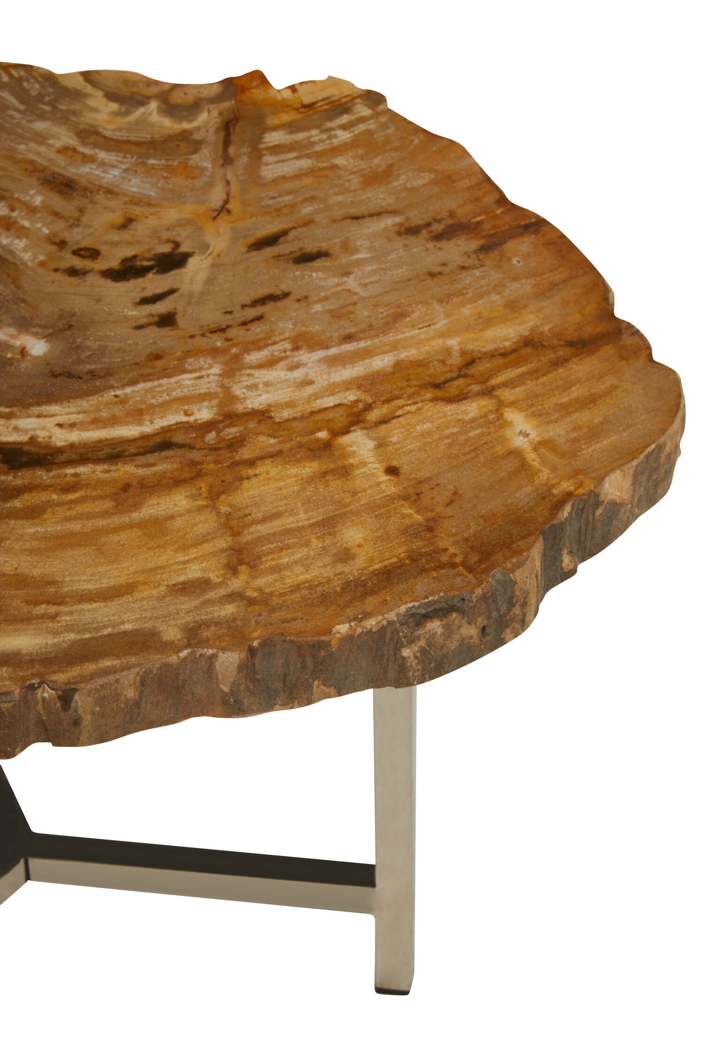Paulo Small Petrified Wood Side Table