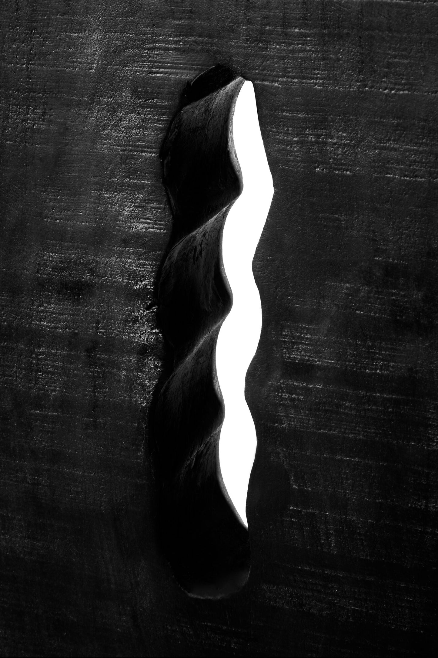 Luxe Decor Rustic Black Vertical Mango Wood Slice Sculpture