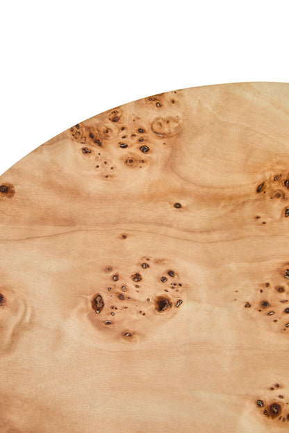 Aspen Round Burl Wood Side Table