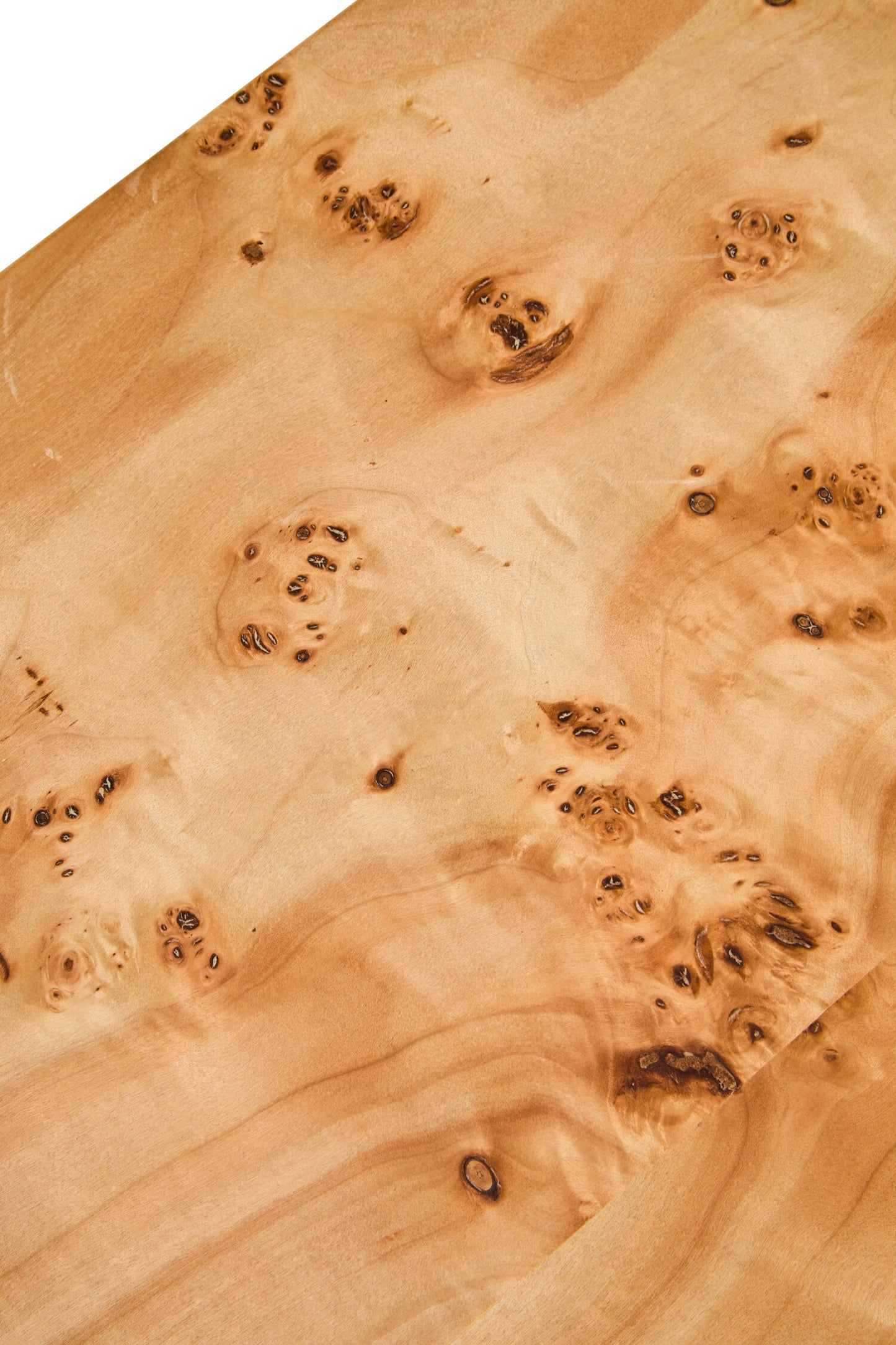 Aspen Curved Burl Wood Coffee Table