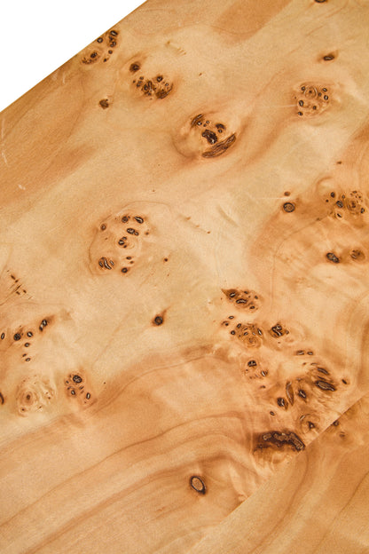 Aspen Curved Burl Wood Coffee Table